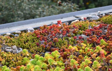 the cost of Hound green roof installation