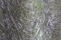 Hound fibreglass roof work